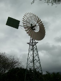 Photo Postcard- Windmill