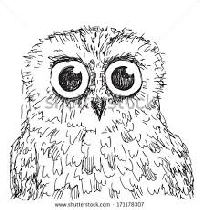 USAPC: Draw an Owl ATC