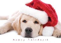 Christmas Card Fun - #4 Dog/ Puppy - USA