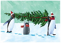 Christmas Card Fun - #5 Penguins - USA