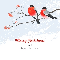 Christmas Card Fun - #11 Bird - USA