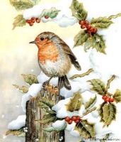 BLoG Holiday/Winter Bird Postcard - USA