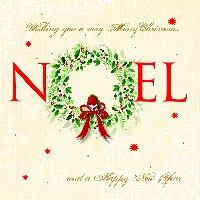 Christmas Card Fun - #15 Noel - USA