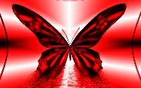 Butterfly rainbow series postcard-red