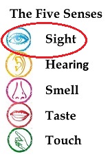 ATC Series: The 5 Senses - Sight