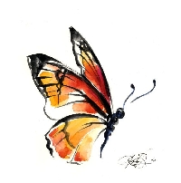 Butterfly Scavenger Hunt PC