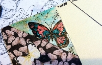 Butterfly Pass and Paste #4