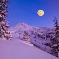 Full Moon February Electronic Comments