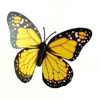 Butterfly rainbow series ATC-yellow