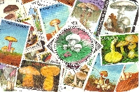 PNS: Postcard Covered in Stamps