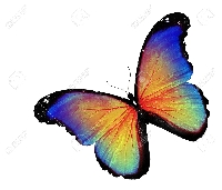 Rainbow butterfly ATC series-green