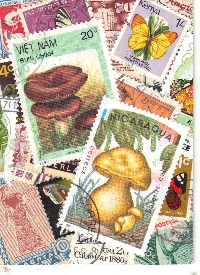 QTA: ATC Covered in Stamps