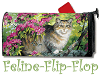 Feline Flip-Flop: MAY
