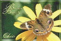 Butterfly Postcard Swap