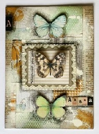 ISS:  Butterfly ATC