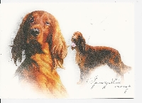 WIYM - 2 Blank Dog Postcards in an Envelope