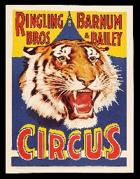 VS - Vintage Skinny w/ a Circus Theme