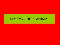 Pinterest: My favorite... Animals