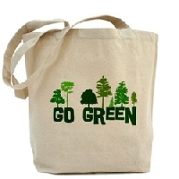 Eco Shopping bag - INT