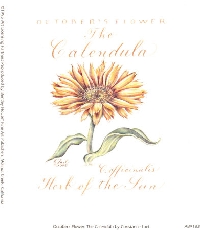 October's Birth Flower / Calendula ATC Swap