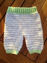 Take Your Pants For a Walk Dishcloth- July 2016