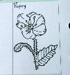 USAPC: Learning to Draw - Flowers