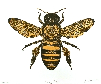 AACG:  Bee Collage Sheet ATC