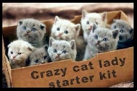 Kit Para Crazy Cat Lady #2