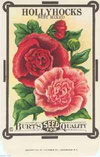 VC: Vintage Flower Seed Packet - ATC