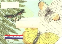 Butterfly Mail Art & Goodies Swap #1