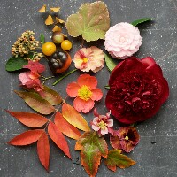 TNW: Autumn in Nature ATC