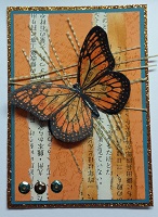 SS: Butterfly ATC Series - Sender's Choice (USA)