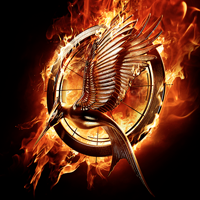 Fandom Stocking #11: Hunger Games