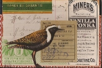 Bird Mail Art & Goodies Swap #2