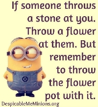 Pinterest - Snarky Minions Quotes