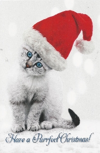 Themed Christmas Cards - Cats!