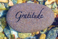 PW- Gratefulness in November