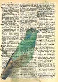 GAA: Book Page and Bird ATC