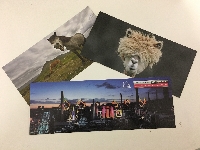 Panorama Postcard 