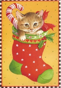 QUICK - CAT Christmas Greeting Card 