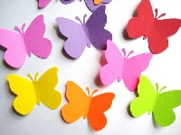 Butterflies in an envelope