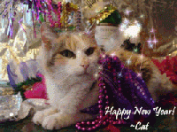 ACL: Happy New Year Postcard with a CAT~QTA