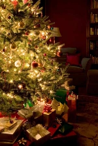 oh christmas tree oh christmas tree!