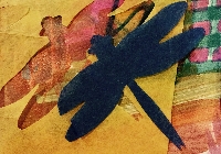P-nS Dragonfly Postcard