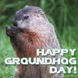 Groundhog  Day profile decorations POPPING UP QUIC