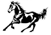 WIYM: HORSE POSTCARD SWAP
