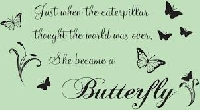 Butterfly quote