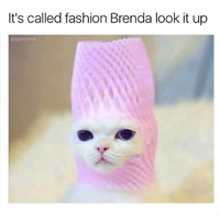 It's called fashion Brenda look it up