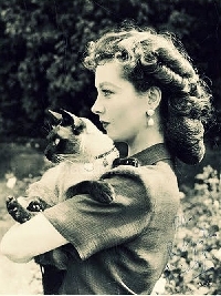 VC:  Vintage Lady with a Cat