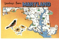 Naked U.S. State Map Postcard #4